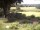 Webcam in Schneverdingen, 9.3 mi away