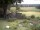 Webcam in Schneverdingen, 13.8 mi away