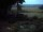 Webcam in Schneverdingen, 13.4 mi away