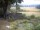 Webcam in Schneverdingen, 13.8 mi away