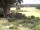 Webcam in Schneverdingen, 21 km entfernt