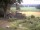 Webcam in Schneverdingen, 10.1 mi away