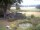 Webcam in Schneverdingen, 34.6 km