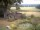 Webcam in Schneverdingen, 15.3 km