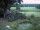 Webcam in Schneverdingen, 8.3 mi away