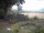 Webcam in Schneverdingen, 21 km