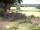 Webcam in Schneverdingen, 11.2 mi away