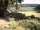 Webcam in Schneverdingen, 10.1 mi away