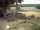 Webcam in Schneverdingen, 31 km