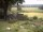 Webcam in Schneverdingen, 29 km