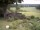 Webcam in Schneverdingen, 31 km