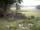 Webcam in Schneverdingen, 5.9 mi away