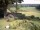 Webcam in Schneverdingen, 21 km