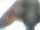 Webcam in Gmund am Tegernsee, 1.4 mi away