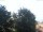 Webcam in Gmund am Tegernsee, 11.5 km