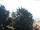 Webcam in Gmund am Tegernsee, 5.1 mi away