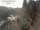 Webcam in Monaco di Baviera, 9.6 km