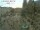 Webcam in Munich, 2.4 km