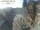 Webcam in Monaco di Baviera, 13.5 km