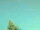 Webcam in Hagenow, 22.5 mi away