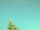 Webcam in Hagenow, 58.3 km