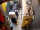 Webcam sulla FINO 2, 74.1 km