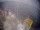 Webcam on FINO 2, 30.4 mi away