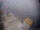 Webcam auf der FINO 2, 86.5 km entfernt