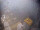 Webcam auf der FINO 2, 88 km entfernt