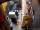 Webcam sulla FINO 2, 70.4 km