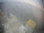 Webcam on FINO 2, 31.9 mi away