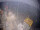 Webcam on FINO 2, 33.9 mi away