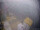 Webcam on FINO 2, 31.8 mi away