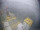 Webcam sulla FINO 2, 67.8 km