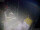 Webcam sulla FINO 2, 86.6 km