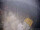 Webcam sulla FINO 2, 86.8 km