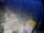 Webcam auf der FINO 2, 88 km entfernt