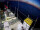 Webcam on FINO 2, 42.6 mi away
