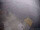 Webcam on FINO 2, 15 mi away