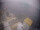 Webcam on FINO 2, 32.2 mi away