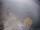 Webcam sur le FINO 2, 101.6 km