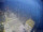 Webcam auf der FINO 2, 104.5 km entfernt
