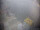 Webcam sur le FINO 2, 67.4 km