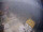 Webcam on FINO 2, 26 mi away