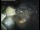Webcam in Sestriere, 9.3 mi away
