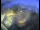 Webcam in Sestriere, 24.1 km