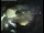 Webcam in Sestriere, 1.8 km