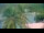 Webcam in Les Anses-d'Arlet, 89 mi away