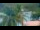 Webcam in Les Anses-d'Arlet, 232.5 km
