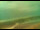 Webcam in Sveti Vid-Miholjice (Krk), 4.3 km